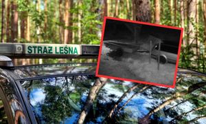 Leśnicy nagrali ich nocą. Zdradzili, co robili w lesie