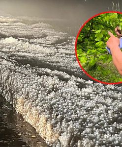 Piekło trwało 30 minut. "W życiu takiego zjawiska nie widziałem"