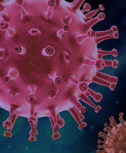 Koronawirus w Europie. Prawie 9 tysięcy zakażeń we Francji i wzrost zgonów w Hiszpanii