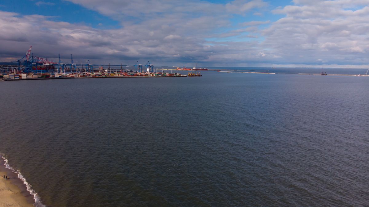 Zwierzak został uratowany przez gdańskie służby 