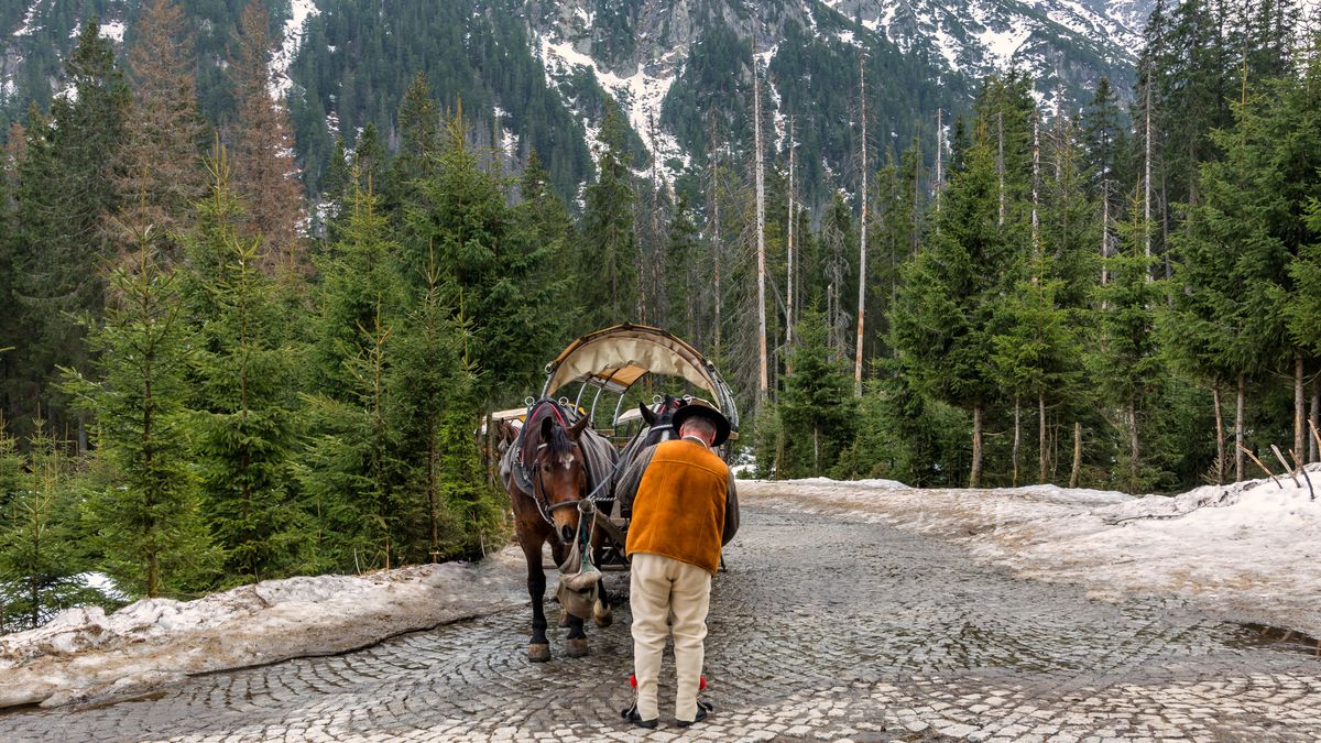Elektryczne wozy miały działać w TPN od początku 2026 r.