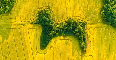 Niezwykłe zdjęcie z drona. Polski fotograf zaskoczył