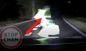 Wstrząsające sceny. Nagle wbiegł na jezdnię. Wszystko się nagrało