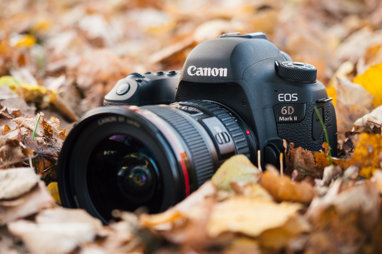 Canon EOS 6D Mark II - test następcy popopularnej pełnoklatkowej lustrzanki