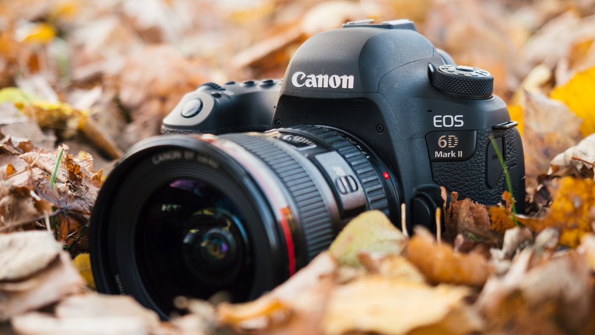 Canon EOS 6D Mark II - test następcy popopularnej pełnoklatkowej lustrzanki 1