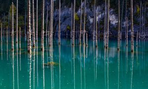 Jezioro Kaindy w Kazachstanie. Podwodny las sprzed wieku