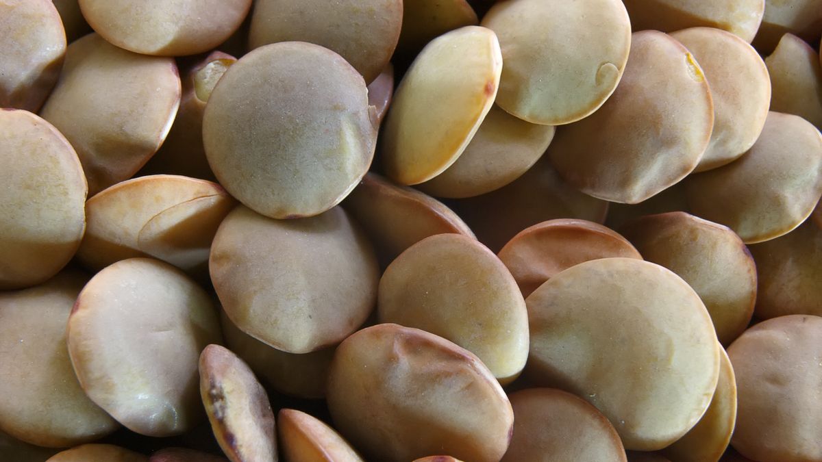 Soczewica naturalnie obniża poziom złego cholesterolu