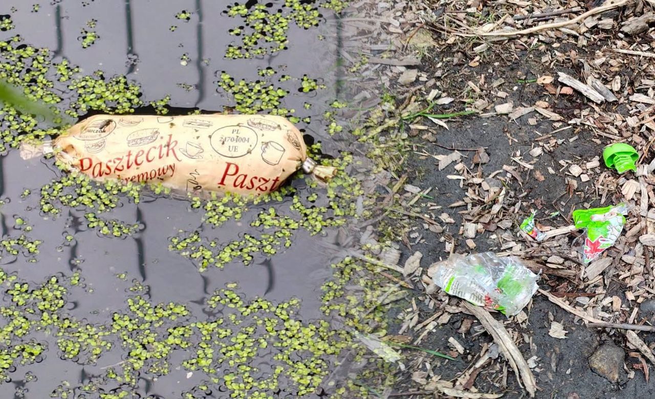 Takie "znaleziska" na wybiegach dla zwierząt. "Nie powinny się tam znaleźć"