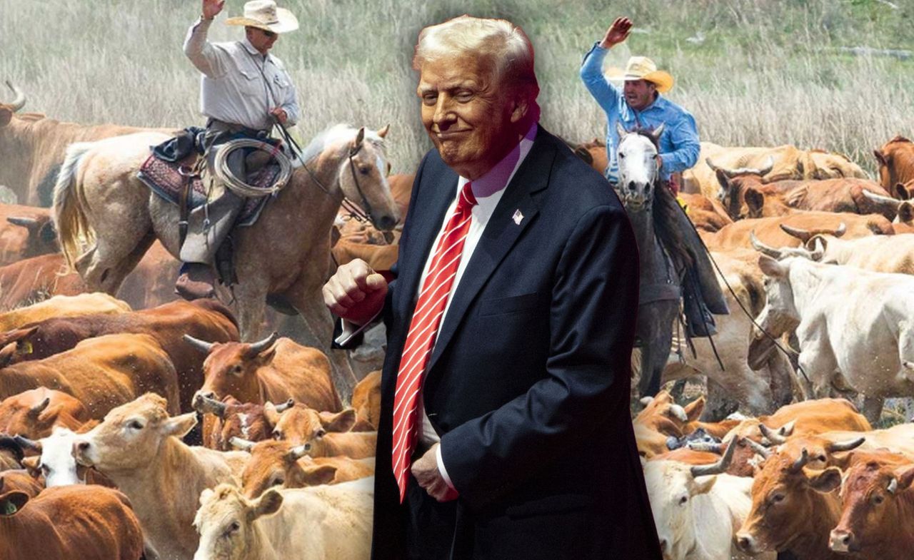 Trump: czkawka władzy. "Inwazja hamburgerów z Mercosur" na pewno mu nie pomoże [OPINIA]