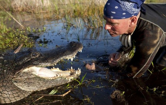 Everglades: w krainie komarów i aligatorów