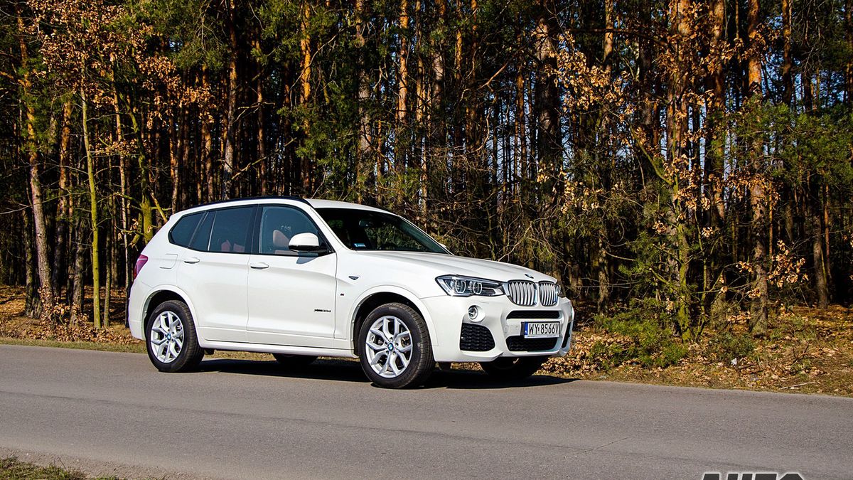 Zdjęcie ilustracyjne do artykułu