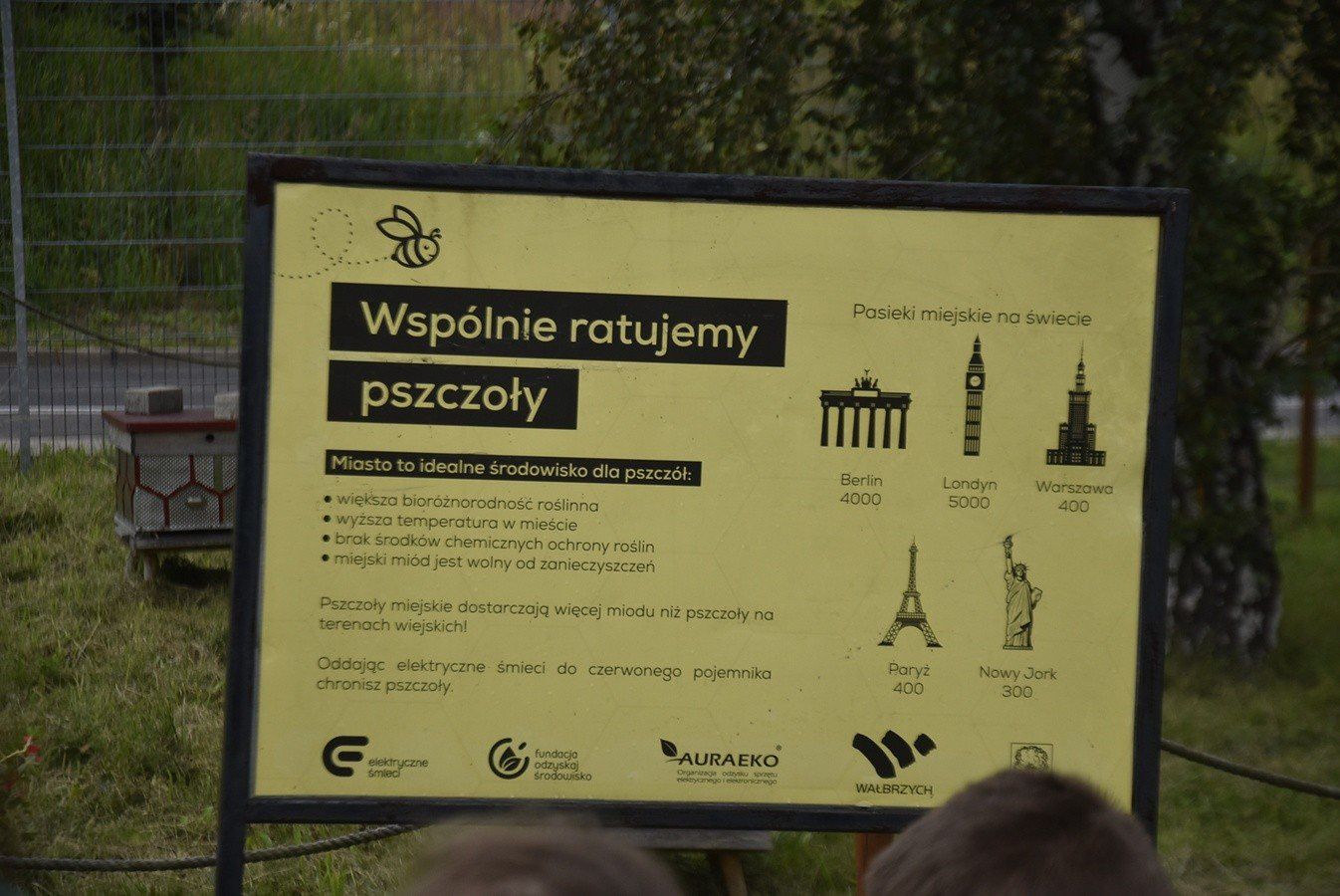 W poniedziałek, 4 sierpnia odbyło się kolejne miodobranie w wałbrzyskiej Starej Kopalni