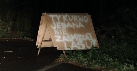 Ktoś wyrzuca śmieci do lasu. Nietypowa wiadomość do sprawcy
