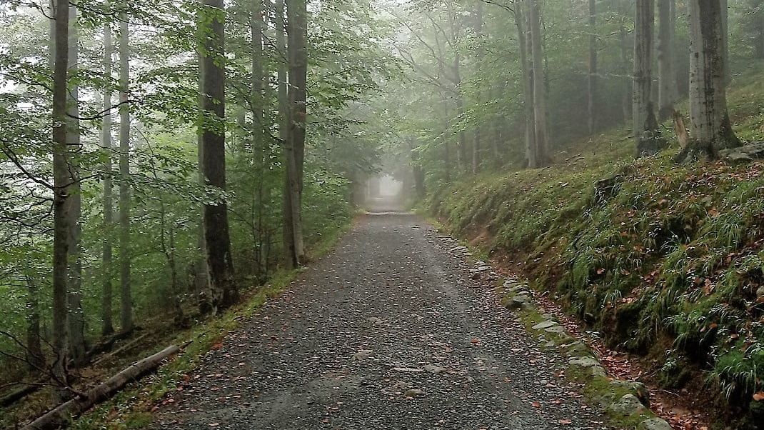 spacer na śnieżkę
