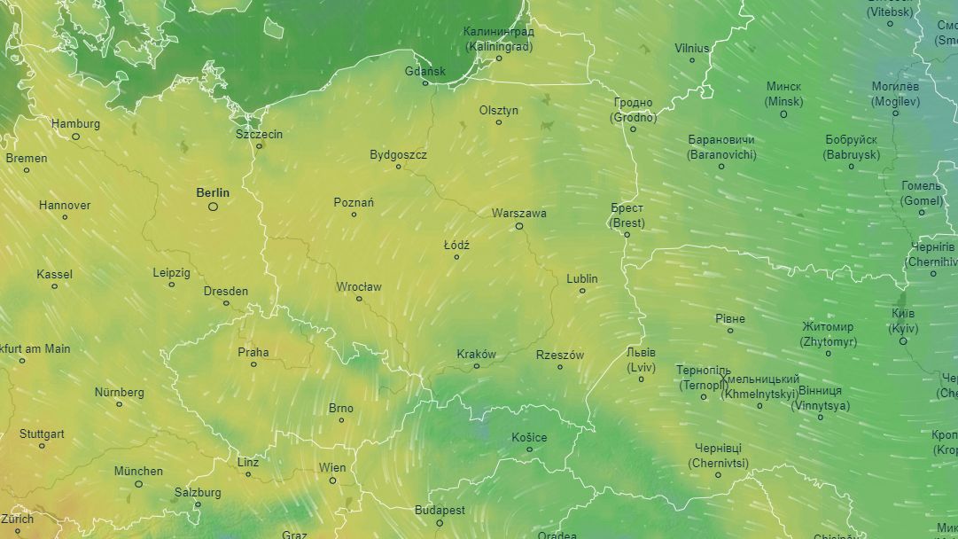 Zdjęcie ilustracyjne 