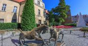 Nowe ulice na mapie Poznania. Rada Miasta zatwierdziła trzy nazwy inspirowane przyrodą i lokalnym klimatem