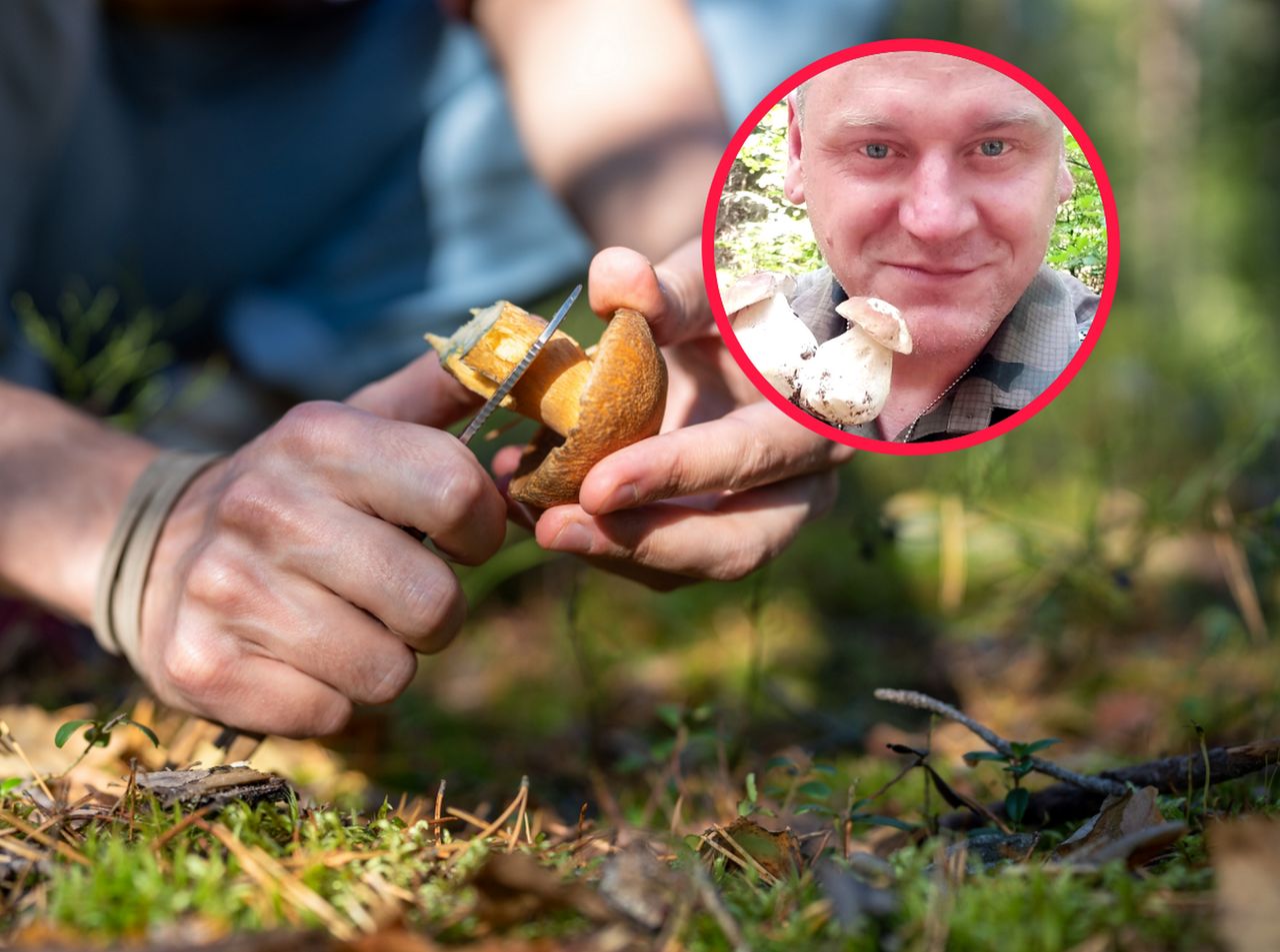 Kilka tysięcy grzybów w kilka godzin. Poznajcie króla grzybobrania