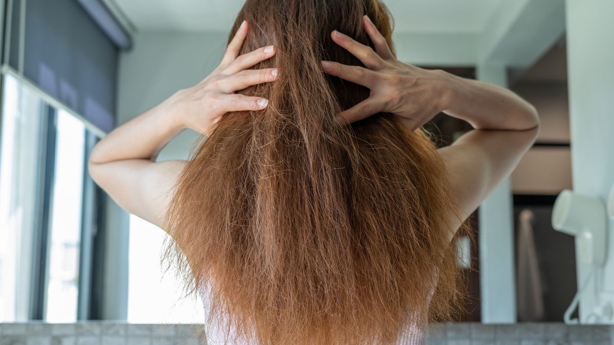 Rear view of woman with her messy and damaged split ended hair.Hair loss it cause from family history, hormonal changes, unhealthy of aging.Boy_Anupong