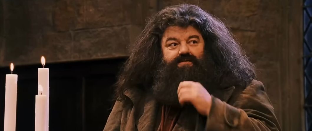 Rubeus Hagrid