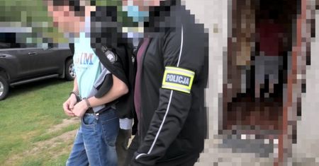 Włamania na Profil Zaufany. Zrobił to 239 razy