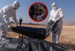 To odkryli w Syrii. "Nie widzieliśmy czegoś takiego od czasów nazistów"