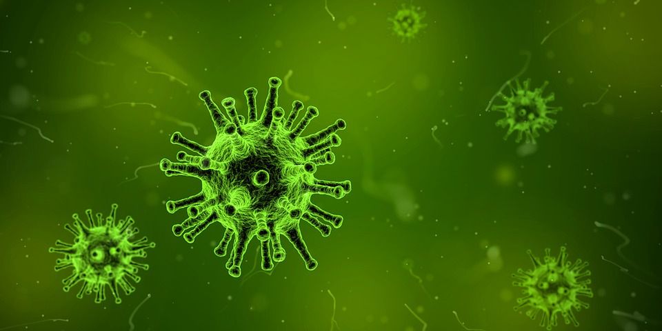 9 najgroźniejszych epidemii w historii ludzkości 1