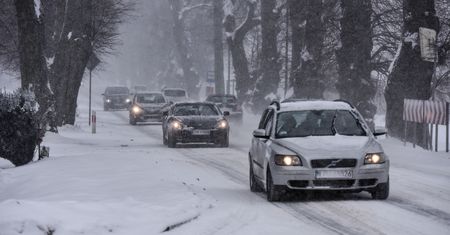 Pogoda. Wrocław. 1 lutego - ostatni dzień z mrozami, od wtorku pojawi się deszcz