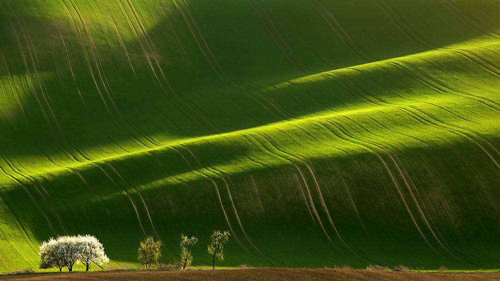 „Fotograf pejzażu zatrzymuje czas" - krajobrazy leśnika i fotografa Marka Kiedrowskiego 1