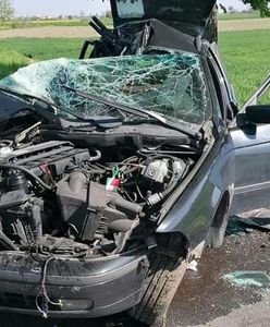 Śmiertelny wypadek w Wielkopolsce. Kierowca BMW zginął na miejscu