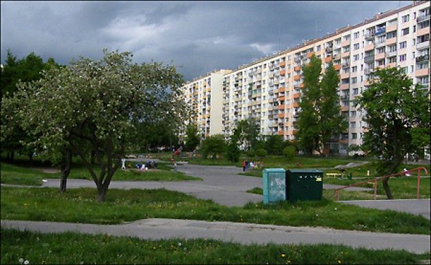 Obraz