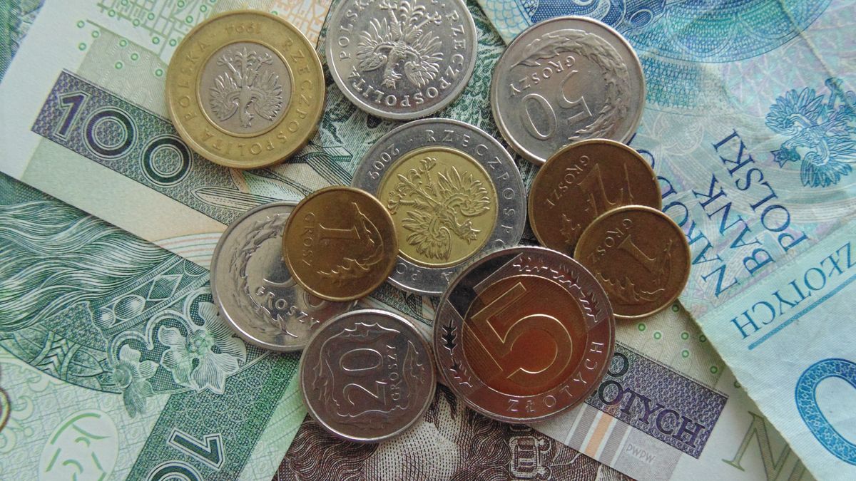 9 proc. w rok. Tyle już zarobił program PPK