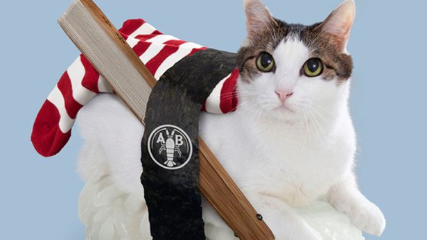 WTF dnia: co powstanie z połączenia kota z sushi? (Niestety) już to wiemy 1