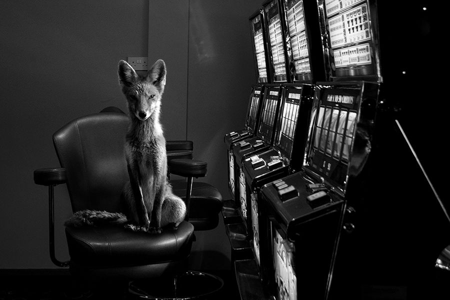 Przedstawiamy galerię zdjęć wyróżnionych w konkursie Fine Art Photography Awards 2