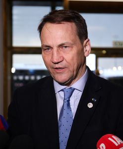 Apel MSZ Polski do Rosji po przelocie rakiety