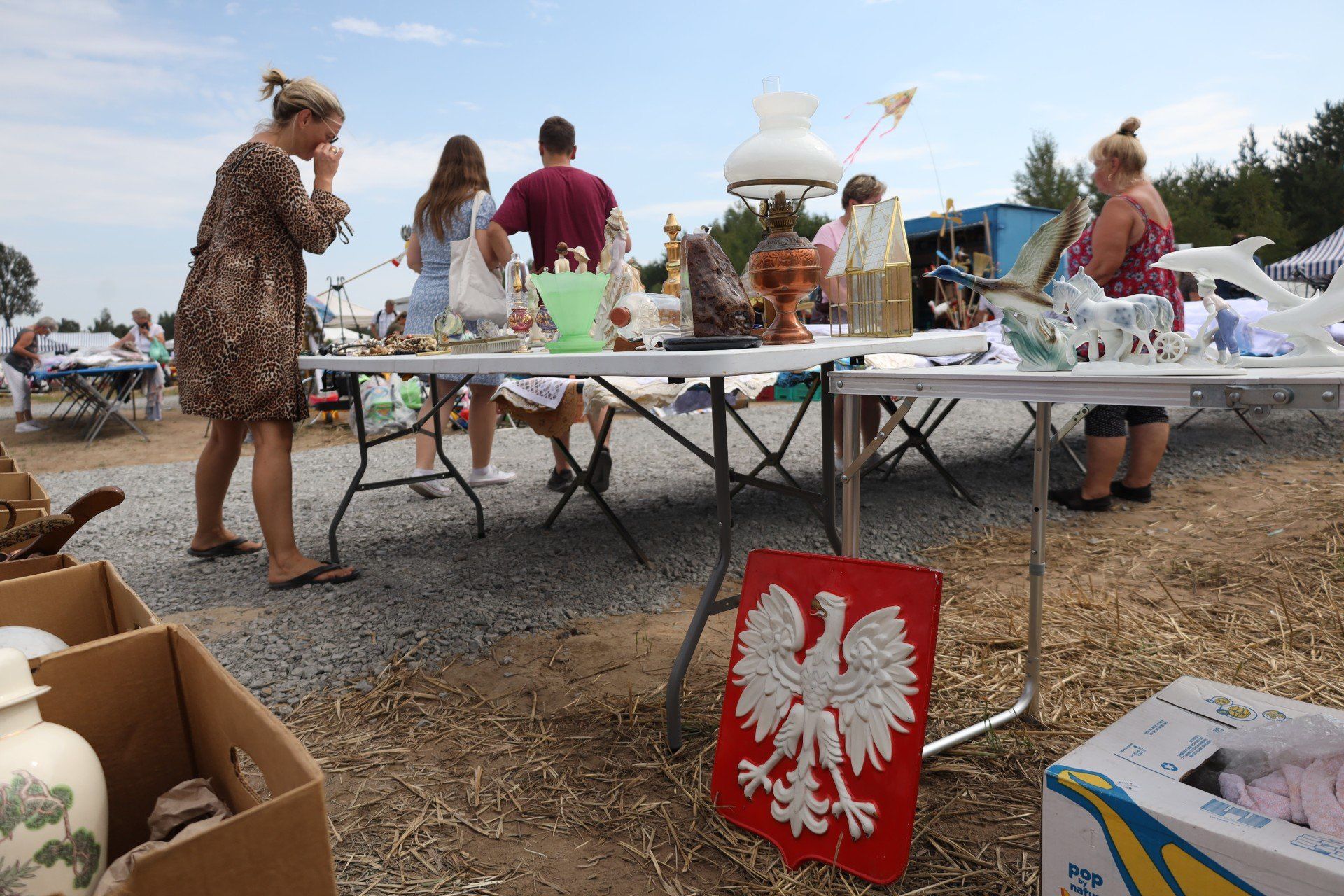 Giełda samochodowa i targ różnorodności wracają znowu do Sokołowa Małopolskiego