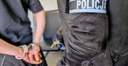 Świdnik: Uciekał przed policją. Porzucił auto i zniknął w lesie. 32-latek szybko wpadł