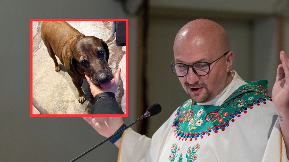 Ks. Grzegorz Kramer o zamykaniu psów podczas kolędy.