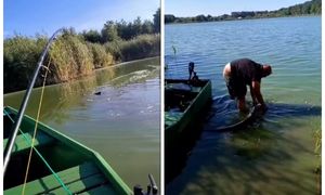 227 cm. Gigant z wielkopolskiego jeziora. Wędkarz wyciągnął rekordowego suma