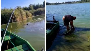 227 cm. Gigant z wielkopolskiego jeziora. Wędkarz wyciągnął rekordowego suma