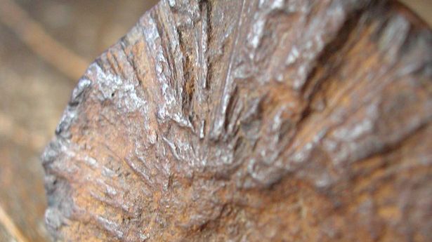 Kawałki Marsa znaleziono w... Maroko! Skąd się tam wzięły? 1