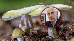 Mają tylko 36 godzin na przeszczep. Do zatrucia wystarczy odrobina toksyny