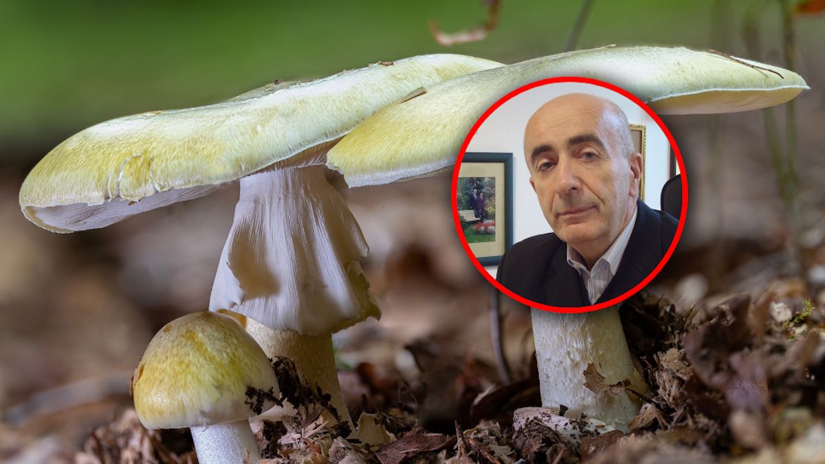 0,3 miligrama tej toksyny wystarczy, żeby się zatruć