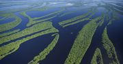 "Milionerzy". Kto odkrył źródła Amazonki?