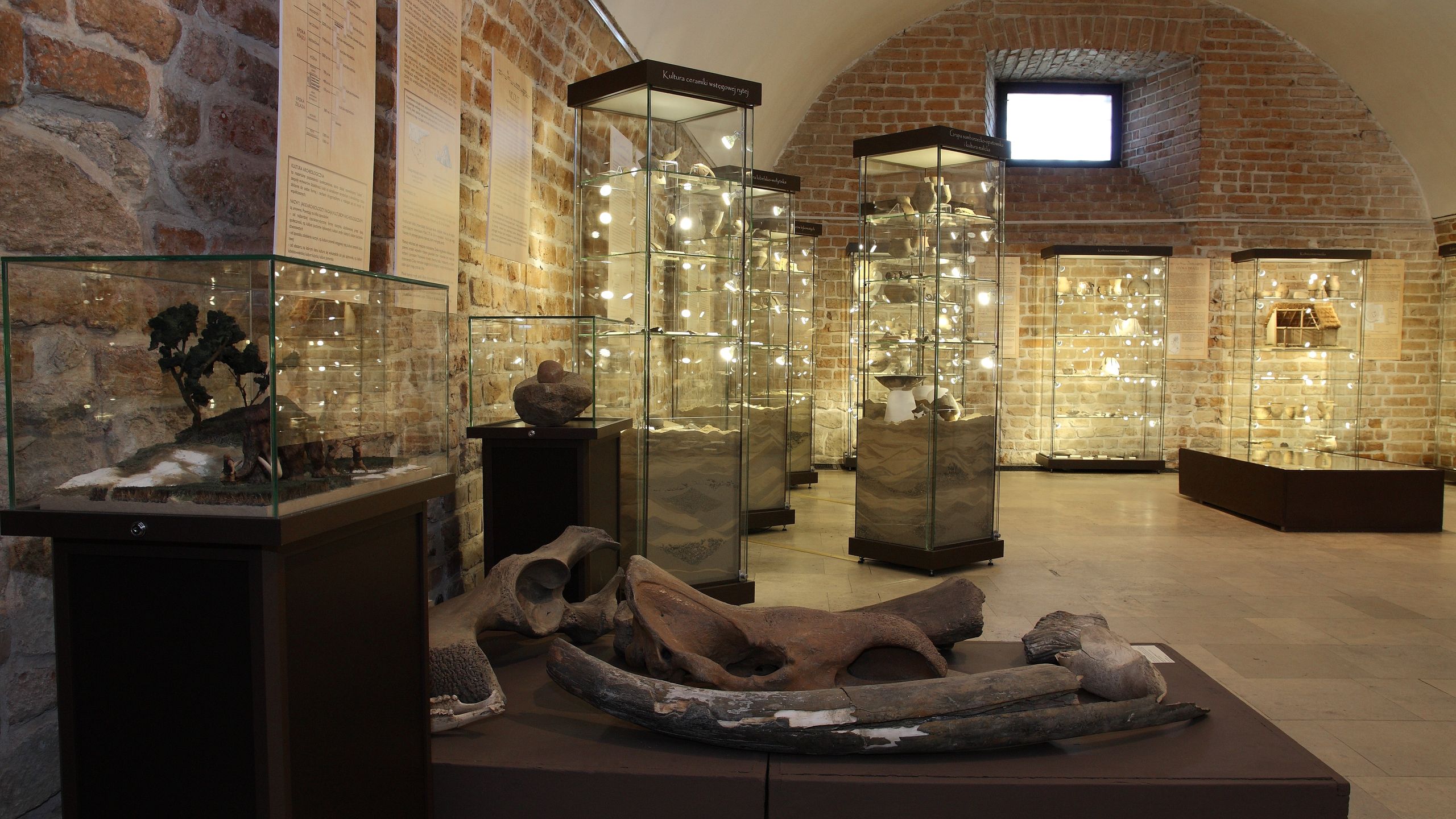 Wystawa Archeologiczna w Zamku Królewskim w Sandomierzu
