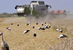 Cios w Ukrainę. Jeszcze jeden kraj mówi "nie"