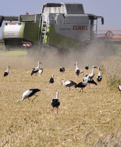 Cios w Ukrainę. Jeszcze jeden kraj mówi "nie"