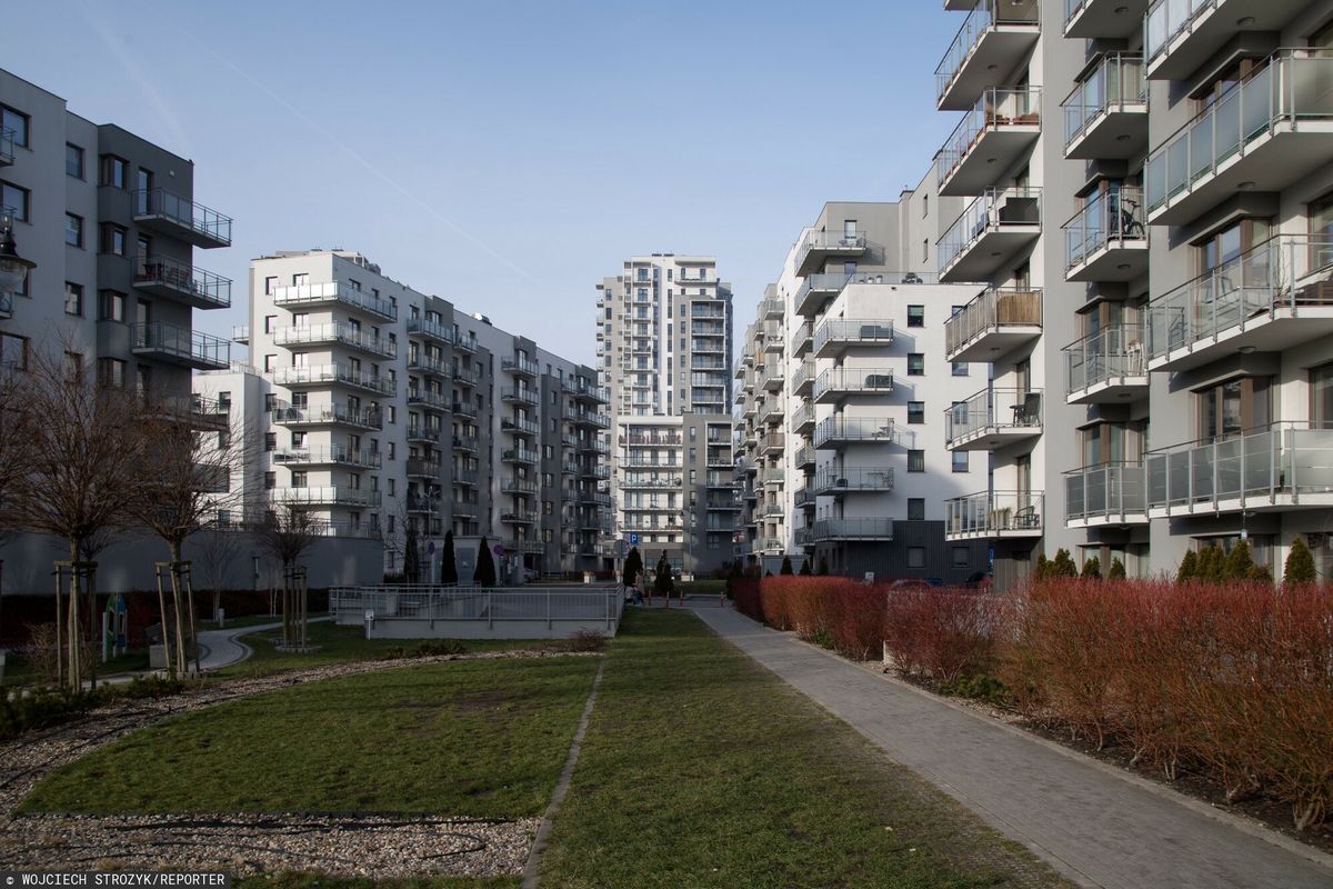 Pozycja Zajmowana W Blokach Startowych