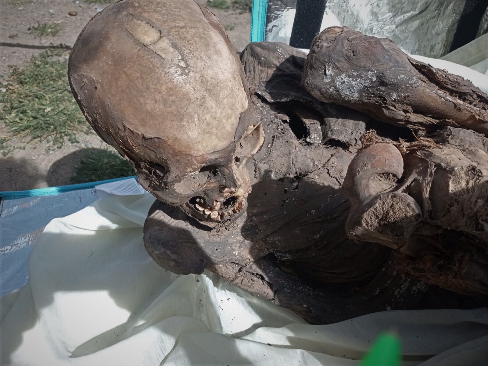 Mężczyzna z Peru miał w torbie 800-letnią mumię.