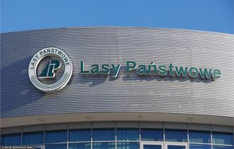 Kontrola w Lasach Państwowych. Szkody oszacowano na miliony