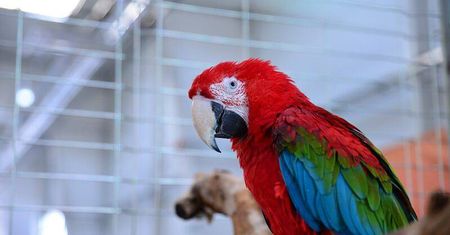 Zwierzaki opanują Lublin – ZOOPARK już w marcu!